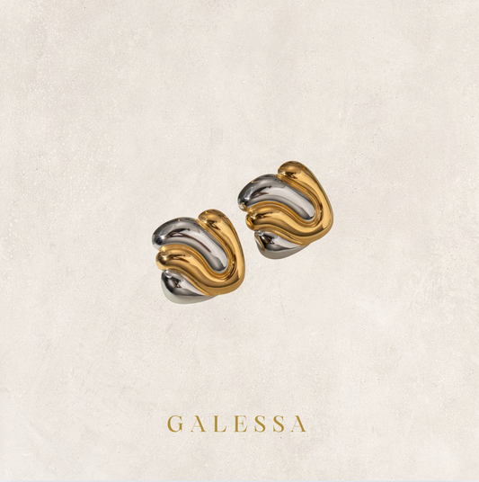 Gold/Silver Earrings