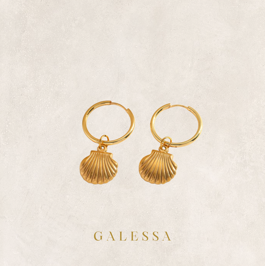 Shell Earrings